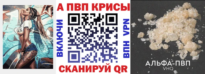 Купить где Иннополис A PVP крисы CK