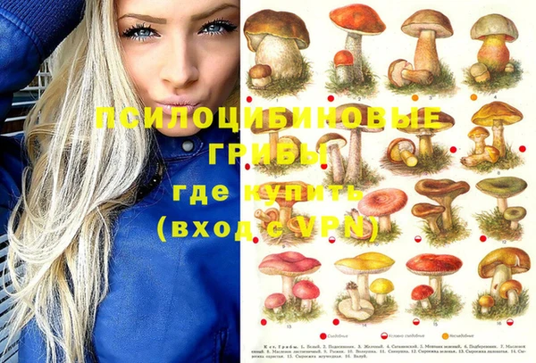 ПСИЛОЦИБИНОВЫЕ ГРИБЫ Армянск