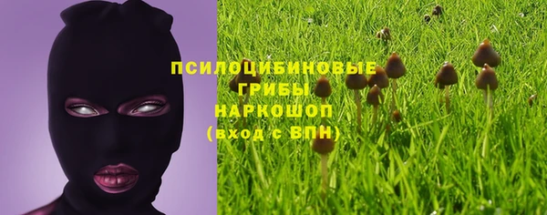 мяу мяу мука Арсеньев