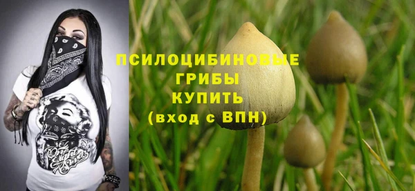 не бодяженный Аркадак