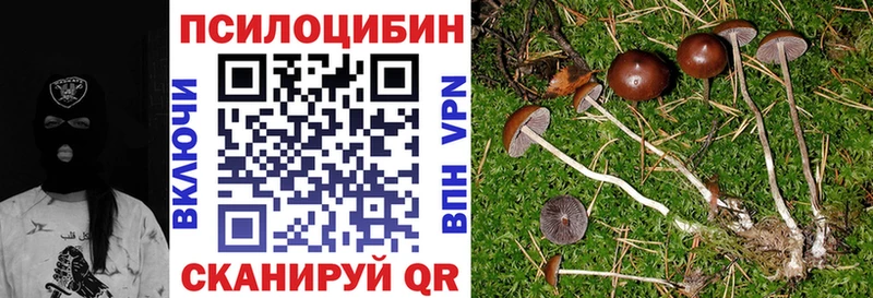Галлюциногенные грибы ЛСД Иннополис